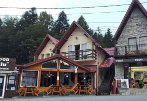 Casa Bustean